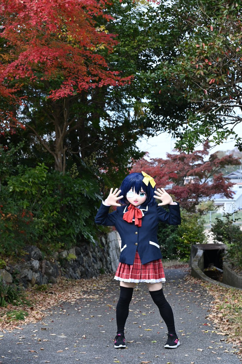 こうよう！　撮影：むったん様 (<a href="/miofender/">むったん</a>)