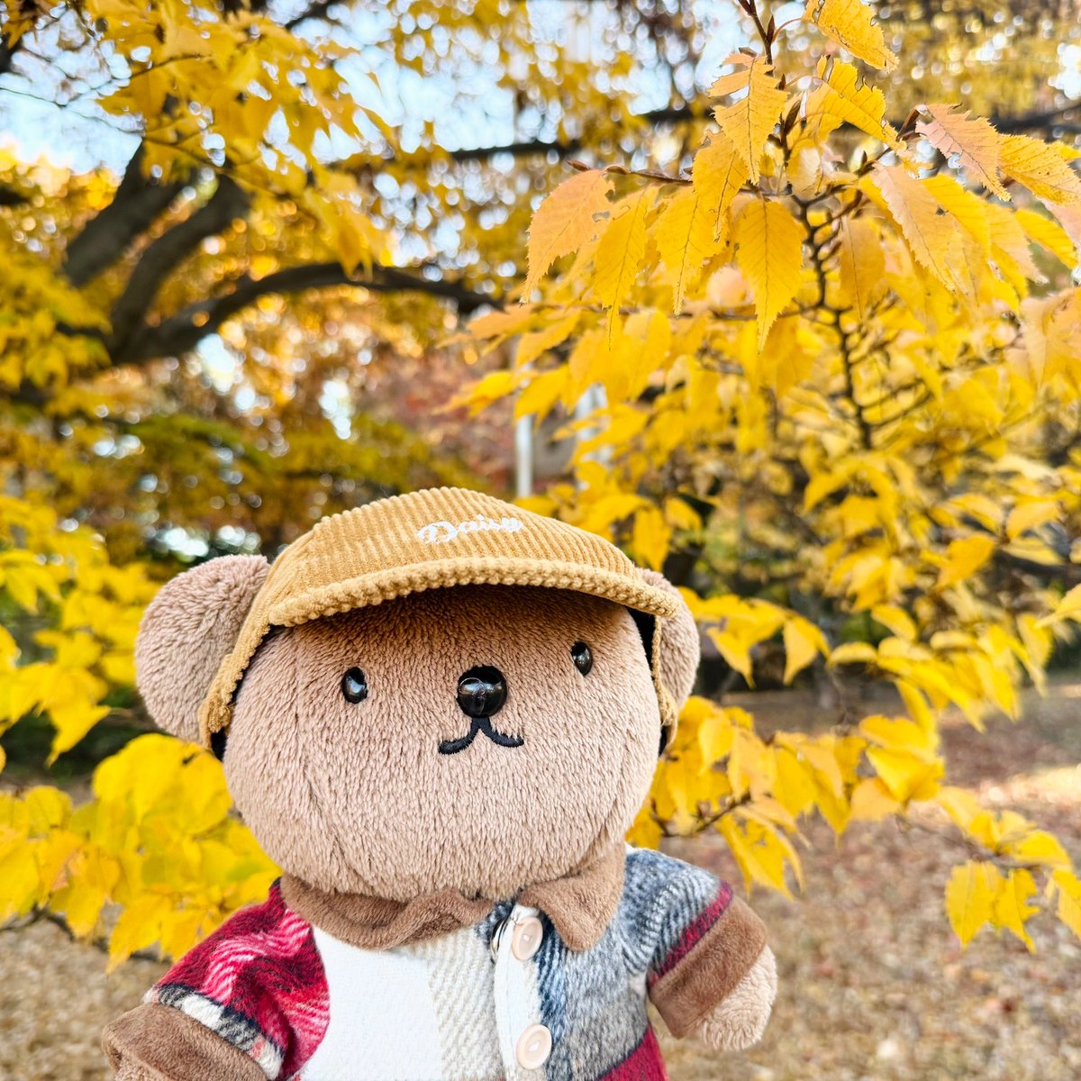 ♡Dorothy♡ Baby~☆です A graceful pink set.🌸 Peach-scented Dorothy is featured in this