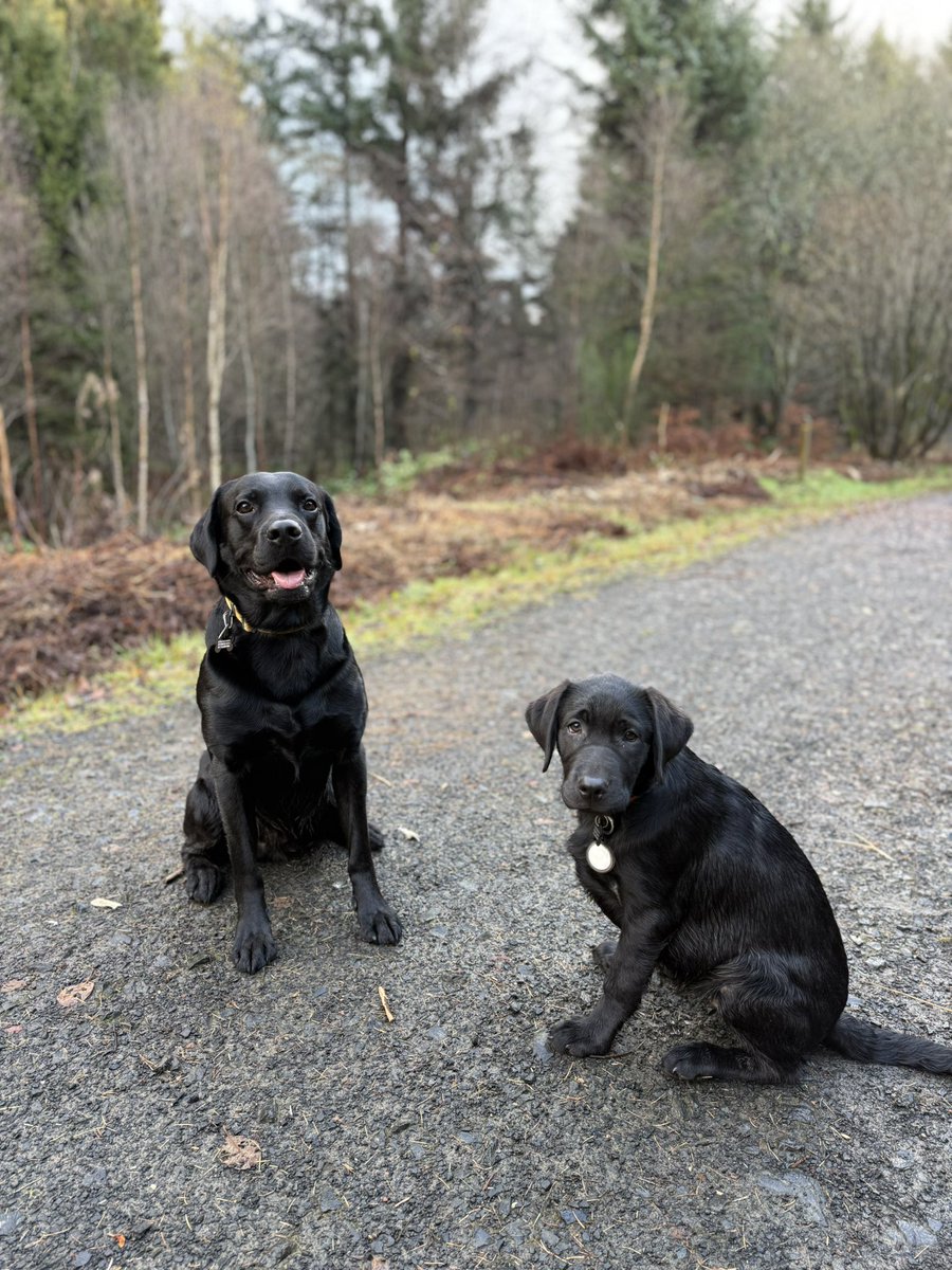 Emily Wyse tweet media