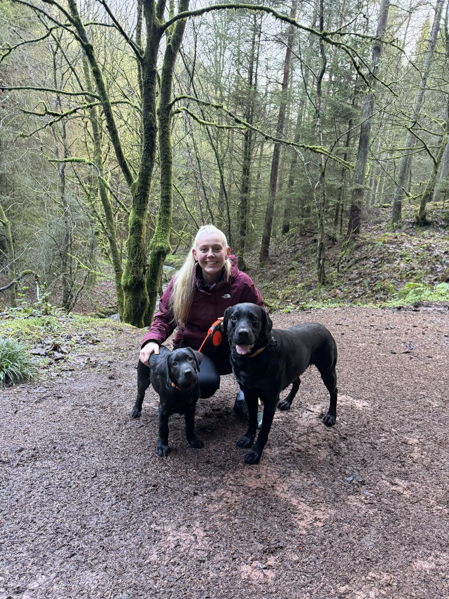 Emily Wyse tweet media