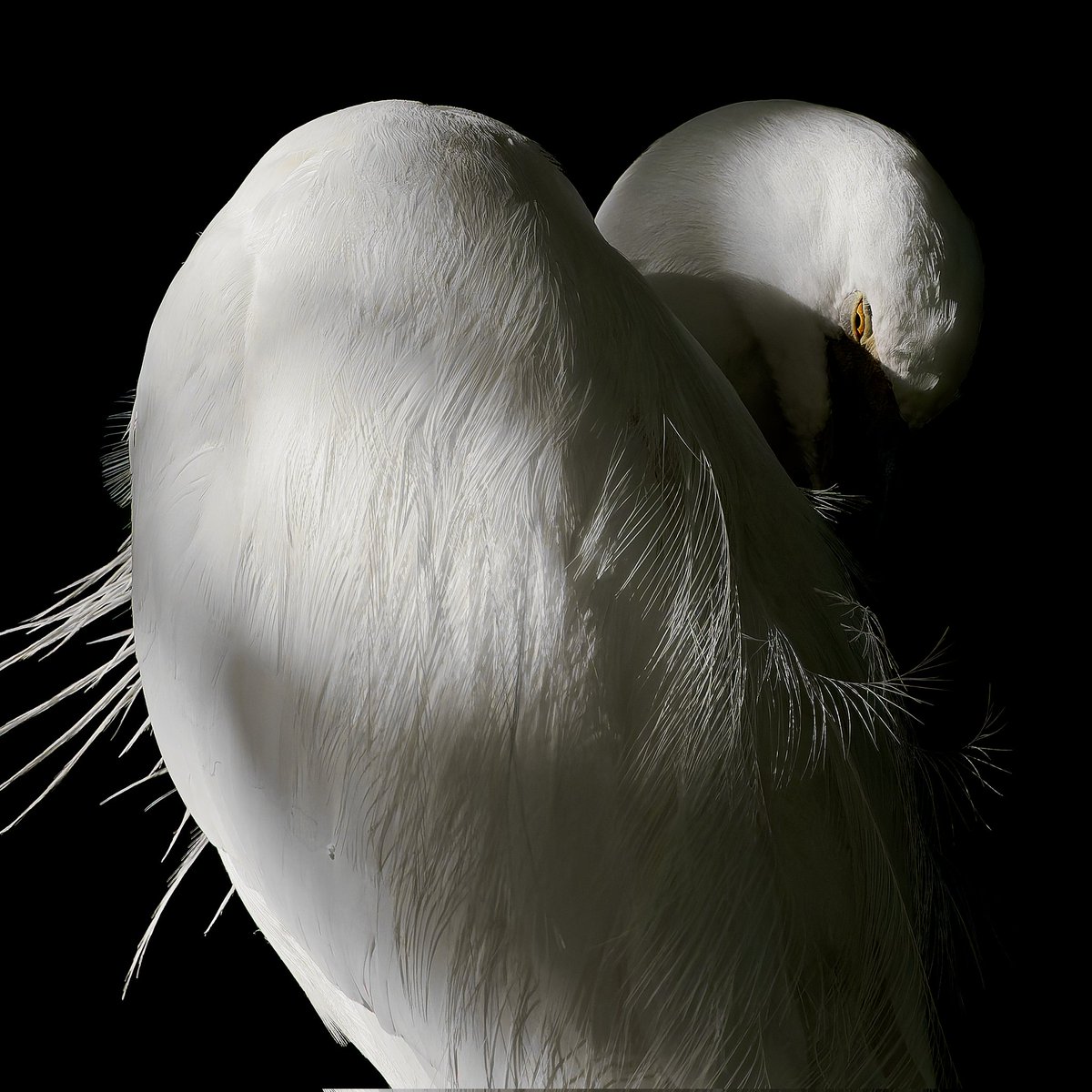 むぎページ むぎ (@mugimugi_z) / Posts / X