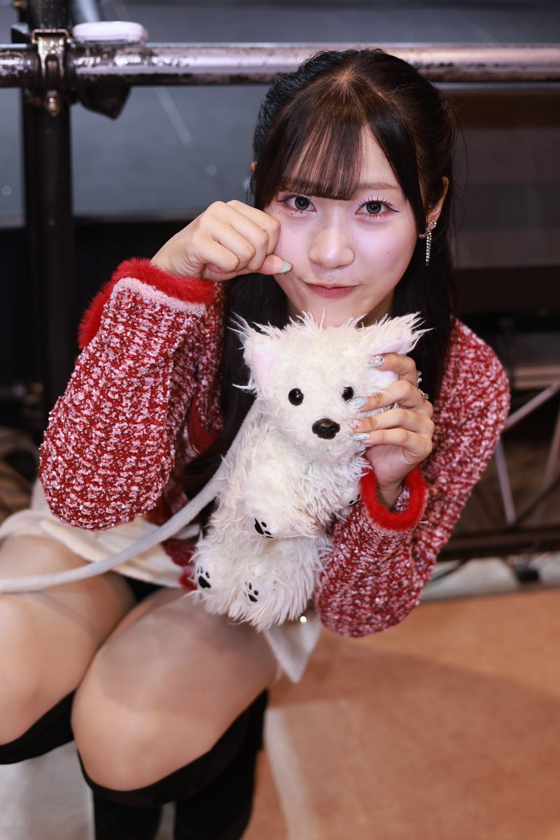 minamiaina's tweet image. 2025/11/24 A-kukan 〜SAKURA会〜
一足早くクリスマスを楽しんでいたあいるちゃんでした。
#あいるの幸せふぁいる
#TwinkleTroupe
#あいるに夢中でまぁいる
#イロハサクラ