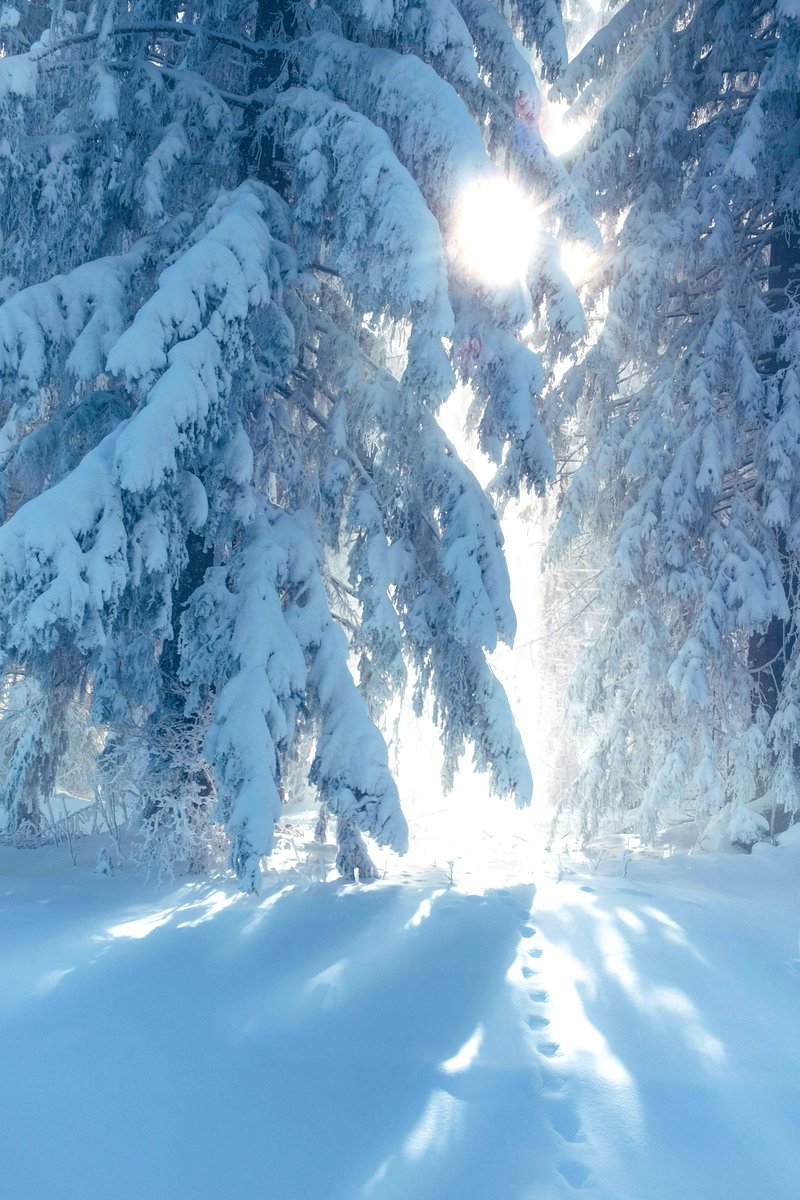 True snowfall ❄️☃️🌨️ #winter