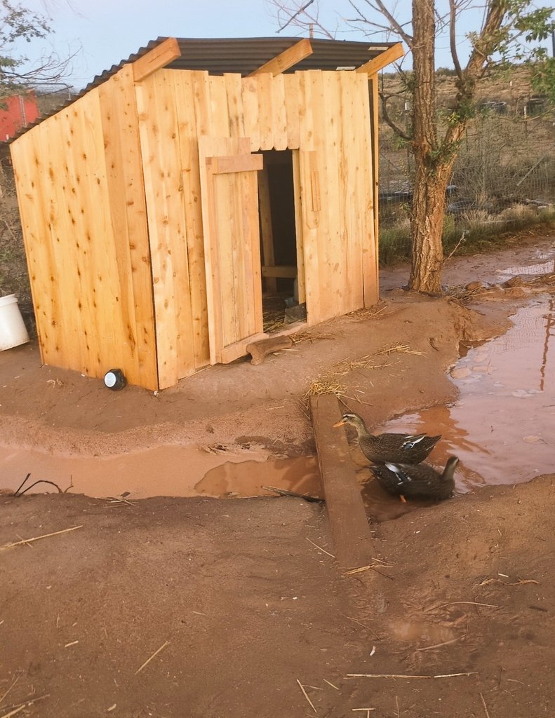 BitcoinNoder's tweet image. GM

Have a good one.