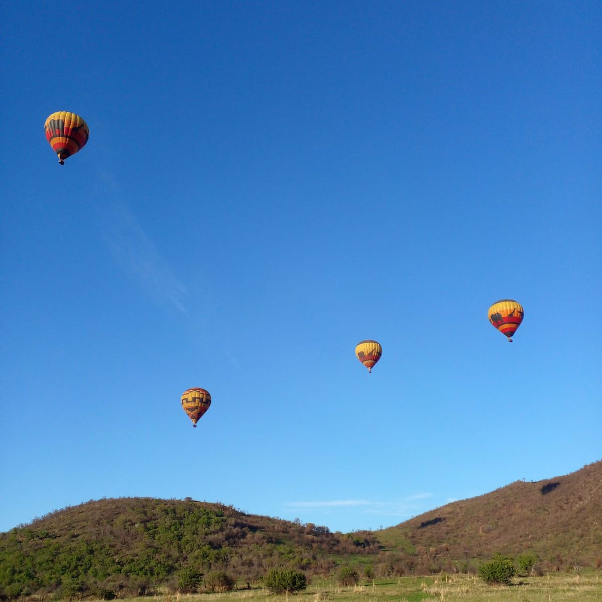 Soar above the savannah and watch the world wake up from a hot air balloon! 🎈✨ There’s nothing like the quiet, the views, and the magic of floating over Pilanesberg as the sun paints the sky. 

Book your experience 👇
gametrackers.activitar.com/services/64 

#YourAdventureStartsHere