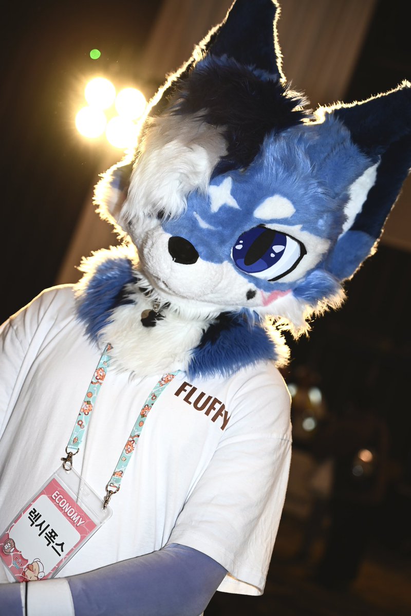 dali_artwork's tweet image. 이쁜 늑대 만낫어요✨✌️💙💙

#FursuitEveryday #fursuit #FURSTCLASS