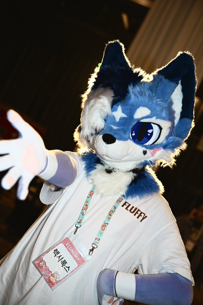 dali_artwork's tweet image. 이쁜 늑대 만낫어요✨✌️💙💙

#FursuitEveryday #fursuit #FURSTCLASS