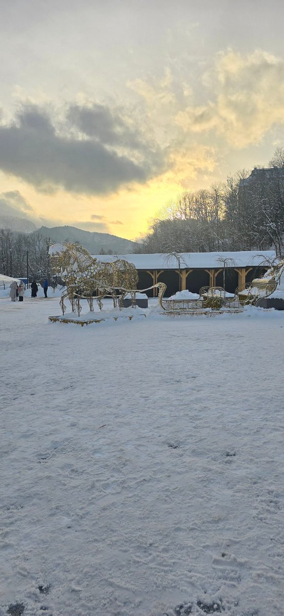 Some snaps of the trip to Poland so far 

#fy #fyp #Poland #snow