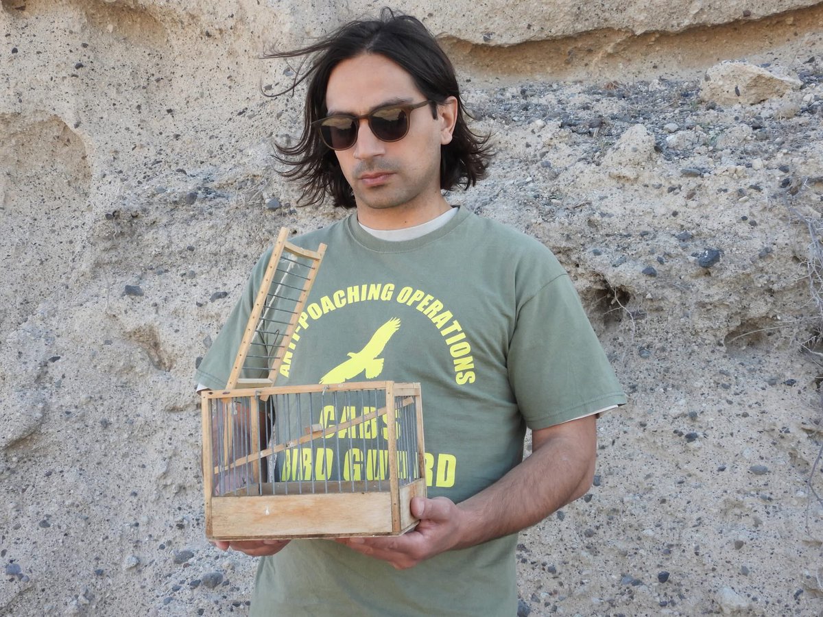 CABS_REPORTS's tweet image. 🚨 ACTION in #Santorini! 

Our teams checked 100+ trapping sites, caught 5 poachers, and seized 125+ illegal traps (nets, limesticks, cages). 

128 Goldfinches/Greenfinches set FREE! 

We&apos;re working with authorities to stop this Eastern Mediterranean poaching hotspot for good.