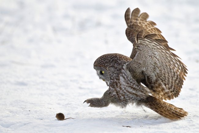 Twitter removing bread from the mouths of fraudsters just before the Christmas season is cold!!! Be careful out there, as they will be looking for other ways to survive. New "updates" will surface.