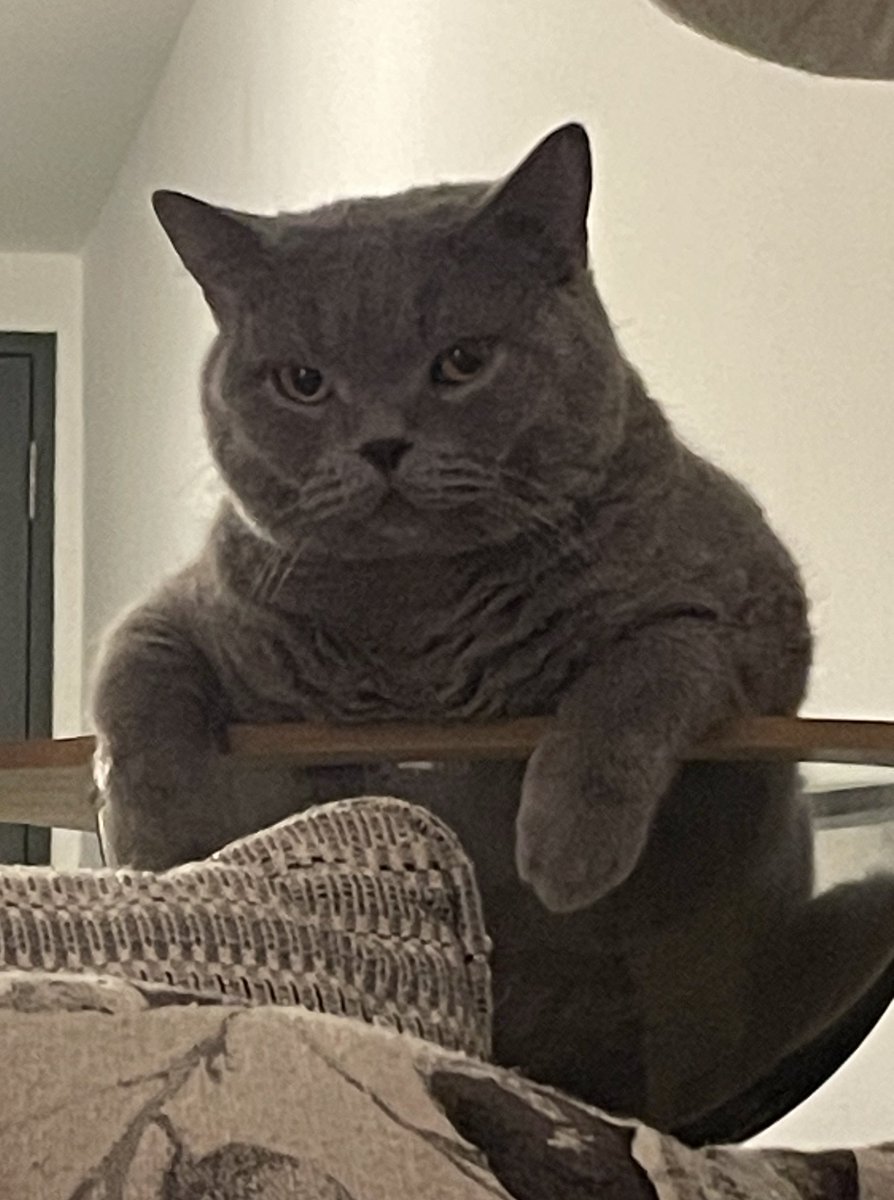 tattyhassan's tweet image. “Dah 4 tahun ko bodyshame aku kat twitter”.