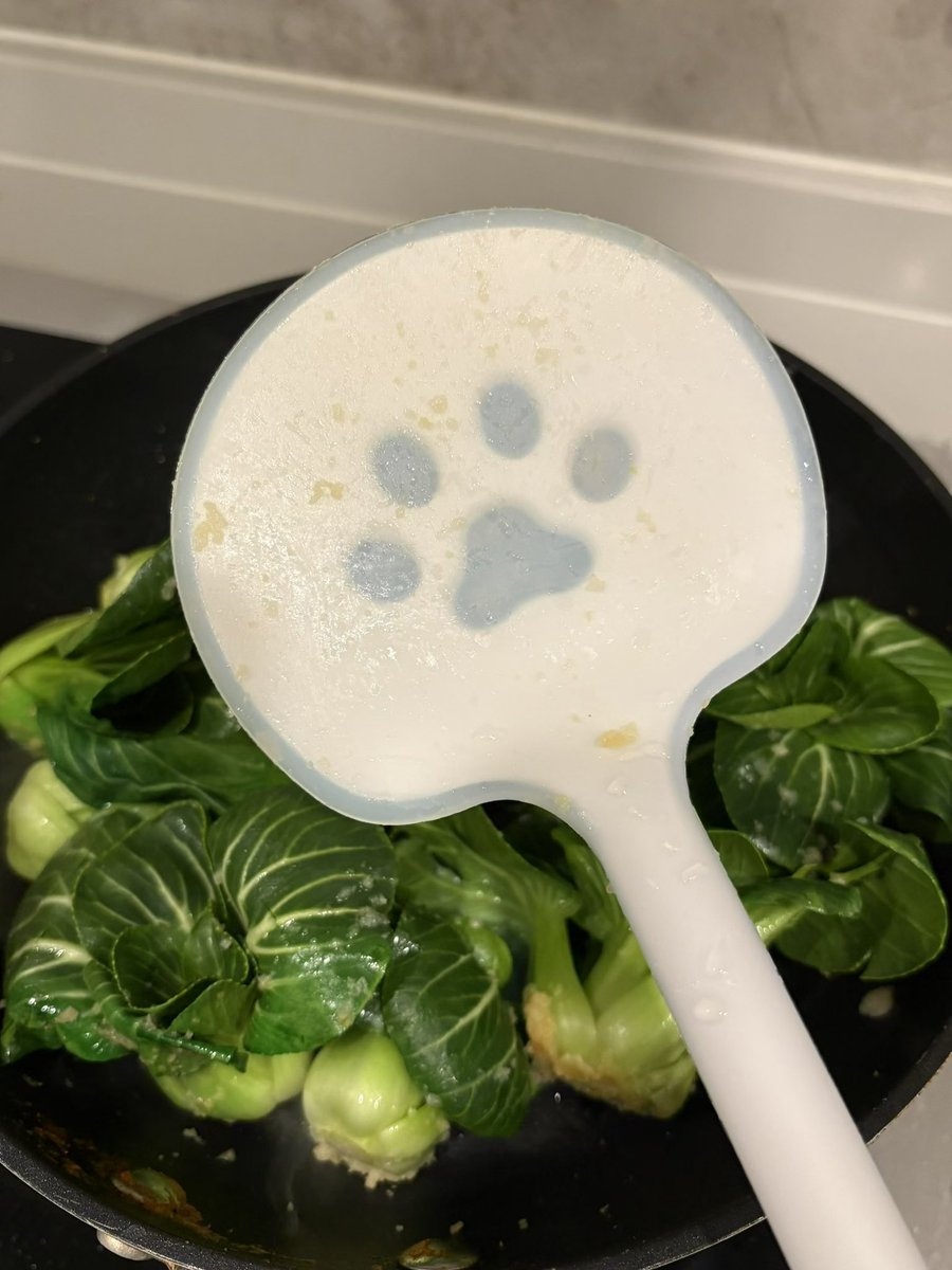 fflannd's tweet image. 看我的喵喵铲