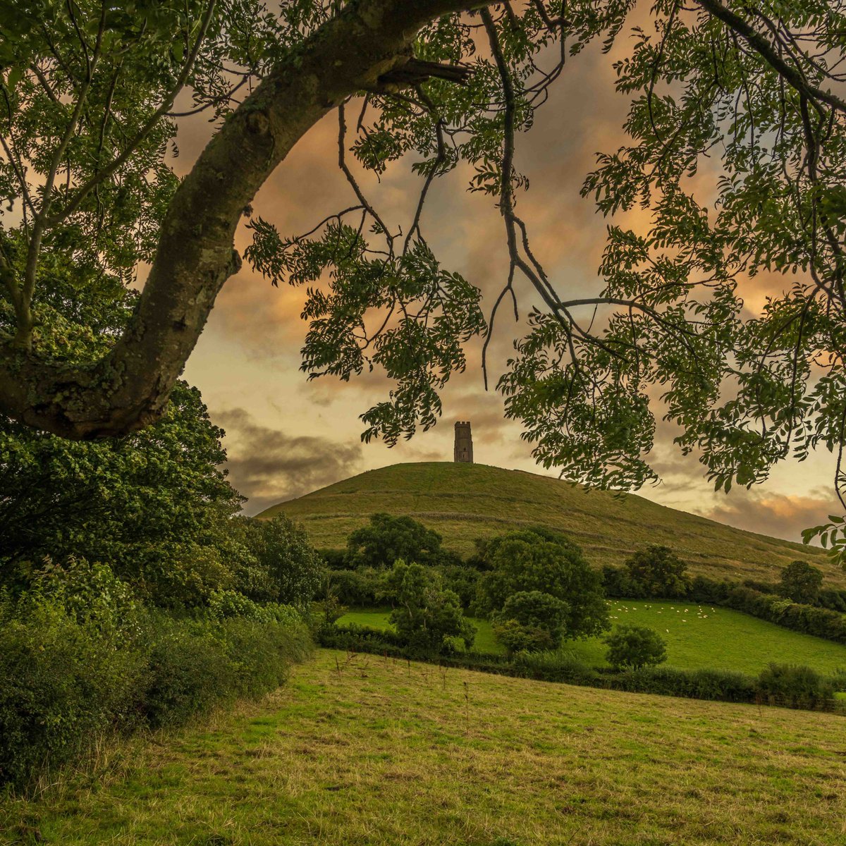 Just a post about upcoming Christmas markets where I have a stall. Glastonbury Frost Fayre is this Saturday 29th November. My shop (6 Market Place) is also open from 9 until 6 that day. I will then have stalls at Street Christmas Market and Wells Christmas Markets on the 6th