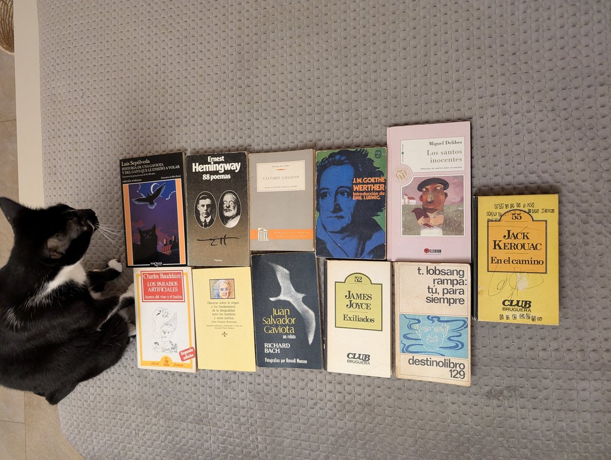 slothdive's tweet image. volvemos a arremeter contra el caballero del rastro de impecable selección y precios de escándalo