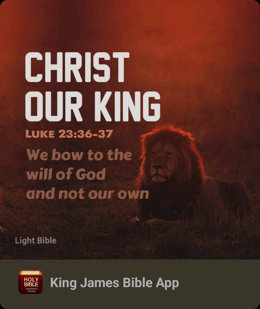 BrianHPatriot76's tweet image. This phrase is both a statement and a question. Is Christ my king, or your king, and what does it mean to say yes? Today&apos;s gospel is a very familiar one. How often we hear the story of the &quot;good thief&quot; and take comfort in it. But what about the other criminal? Both criminals seem…