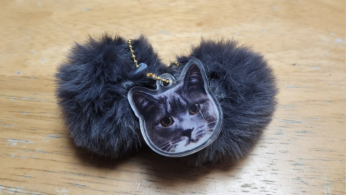 三毛猫みけ𓃠 (@mikeneko0211_VR) / Posts / X