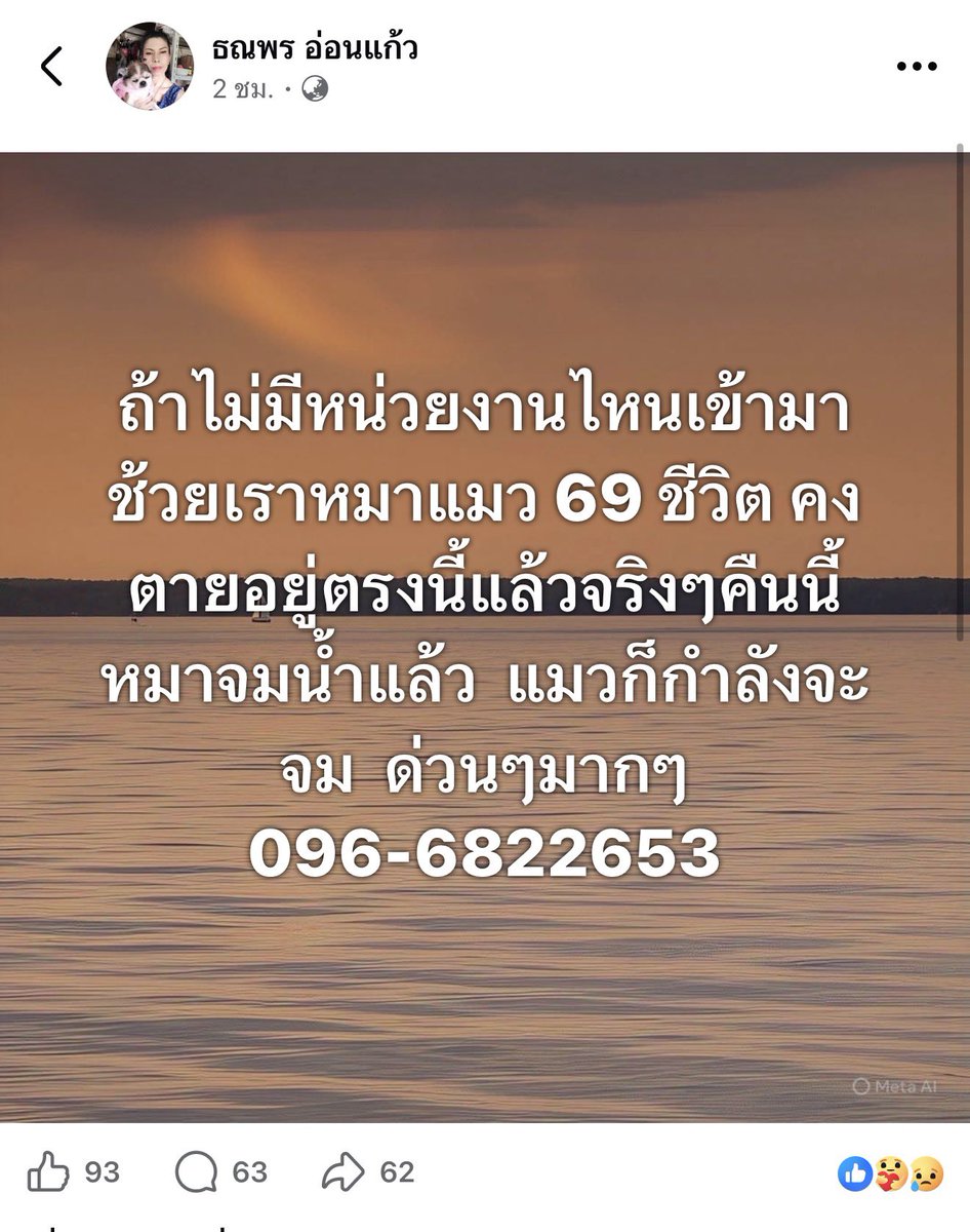 _DNVP2_'s tweet image. มีพี่ในเฟสทักมาให้ช่วยแชร์ พิกัด : อยู่ซอย 20 คลองเตย  บ่านอยู่ถนนรถไฟ  แถวคอกหมู 096-6822653  #น้ําท่วมหาดใหญ่ 🙏🏻🙏🏻