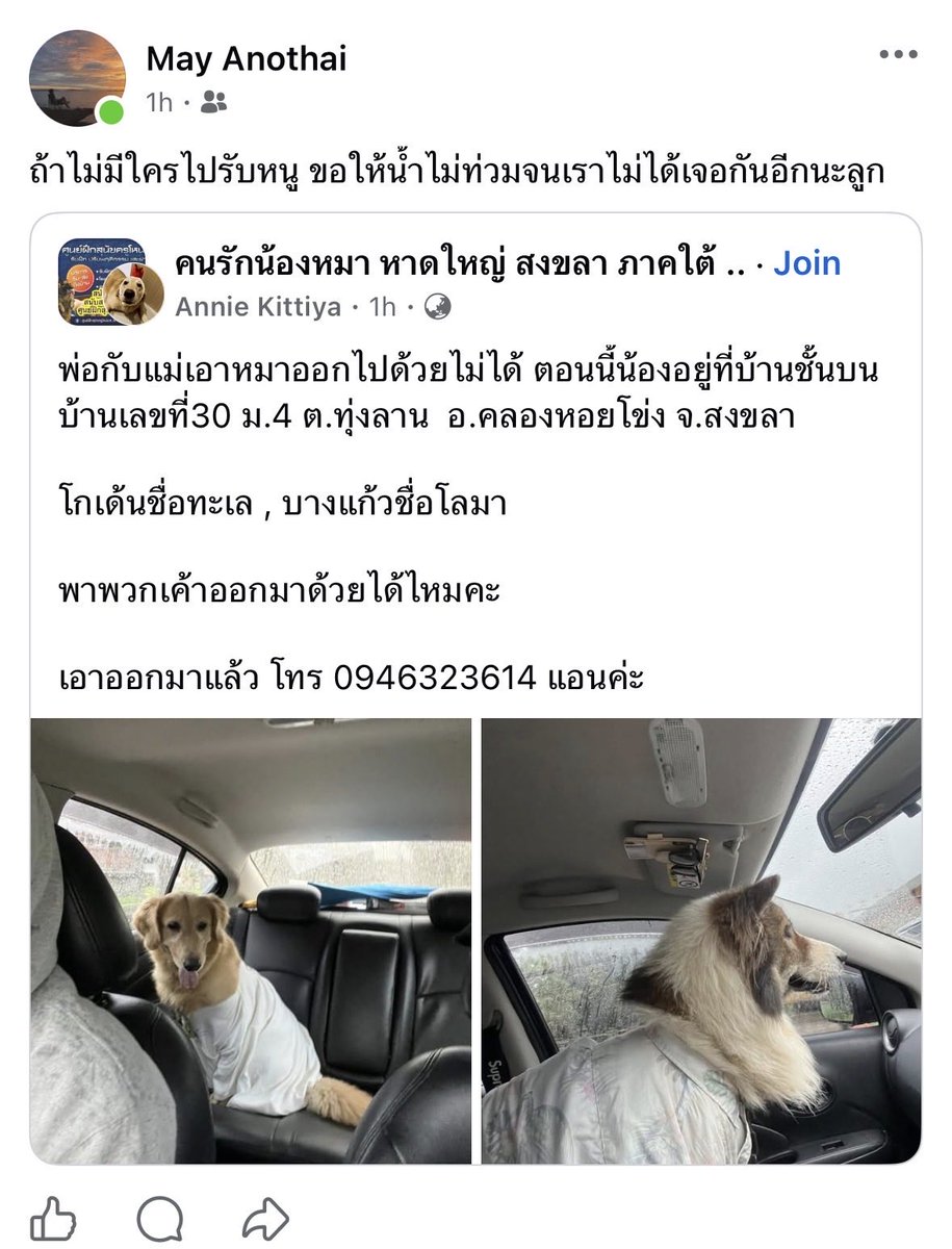 JJennie_Jen | BK tweet media