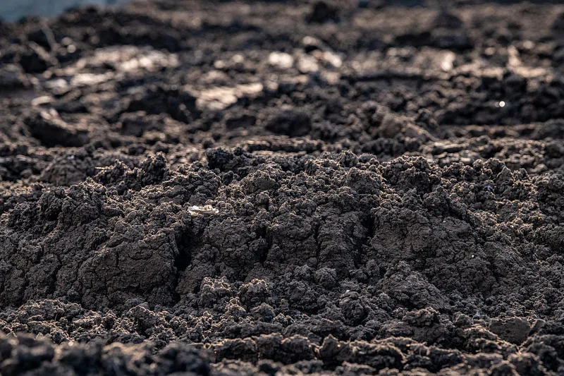 TPCMag's tweet image. Waxed Dirt Trick:
For cold-weather trapping, mix waxed dirt with dry peat moss to create a moisture-proof, freeze-resistant bedding that stays workable even in subzero temps.
💬 Do you make your own waxed dirt or buy it?

#TrapTuning #ColdWeatherTrapping #PredatorControl