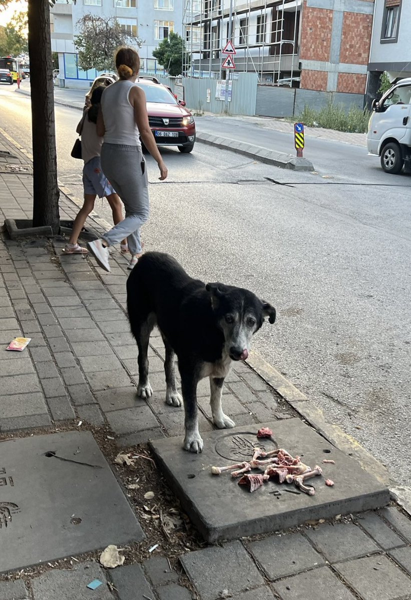 Av_MeltemZorba's tweet photo. Cahil azınlığın isyan ve iftiralarına fırsat vermeyin. Kontrolsüz besleme yasağı mevzuata uygun bir karardır. Anlatıyorum;

📌5199 sayılı Kanunda 30/7/2024 tarihli ve 7527 sayılı Kanunla yapılan değişiklikle öncelikle; Kanunun amacı sadece hayvanların korunması kriterinden çıkarılarak, “insan, hayvan ve çevre sağlığı gözetilmek kaydı” eklenmiştir.

📌Kanunun 6’ncı maddesindeki değişiklikle getirilen emredici hükme göre; sokakta sahipsiz köpek bulunması mümkün olmadığından köpeklerin gönüllüler tarafından beslenmesine olanak tanıyan hükümler de yürürlükten kaldırılmıştır.

📌Kanun önceki yürürlük hükümlerinin 18’inci maddesinde yer alan “Hayvan koruma görevlisi” müessesi 7527 sayılı Kanunla kaldırılmıştır. 

📌Mülga Hayvanların Korunması Hakkında Uygulama Yönetmeliğinin 21. maddesinin (d) bendindeki “besleme odakları” kurma imkanı, 13/12/2024 tarihinde kabul edilerek yürürlüğe giren mevcut Yönetmelikle kaldırılmıştır. Buna göre sokaklarda gelişigüzel besleme yapılmasına imkan veren hüküm bulunmamaktadır.

📌Öte yandan, hayvan maması veya gıda artıklarıyla kamusal alanların kirletilmesi halk sağlığı riski yarattığı için Çevre Kanunu ve Kabahatler Kanunu çerçevesinde yasaktır. 2025 yılı için umuma açık yerlerde çevreyi kirletenlere 6.923 TL idari para cezası verilmesi öngörülmüştür.

@AnkaraValiligi ve @TC_istanbul ‘nin İl Hayvanları Koruma Kurulları’nda alınan bu kararlar için teşekkür ederim. Kararlar mevzuata uygundur. Aksini iddia edelere ve kararları sabote etmek isteyenlere yaptırım uygulanmasını bekliyoruz. 

Bu ülke bu ilkel görüntüleri haketmiyor.

@vasipsahin 
@gul_davut 
@TC_icisleri 
@TCTarim 
@iletisim