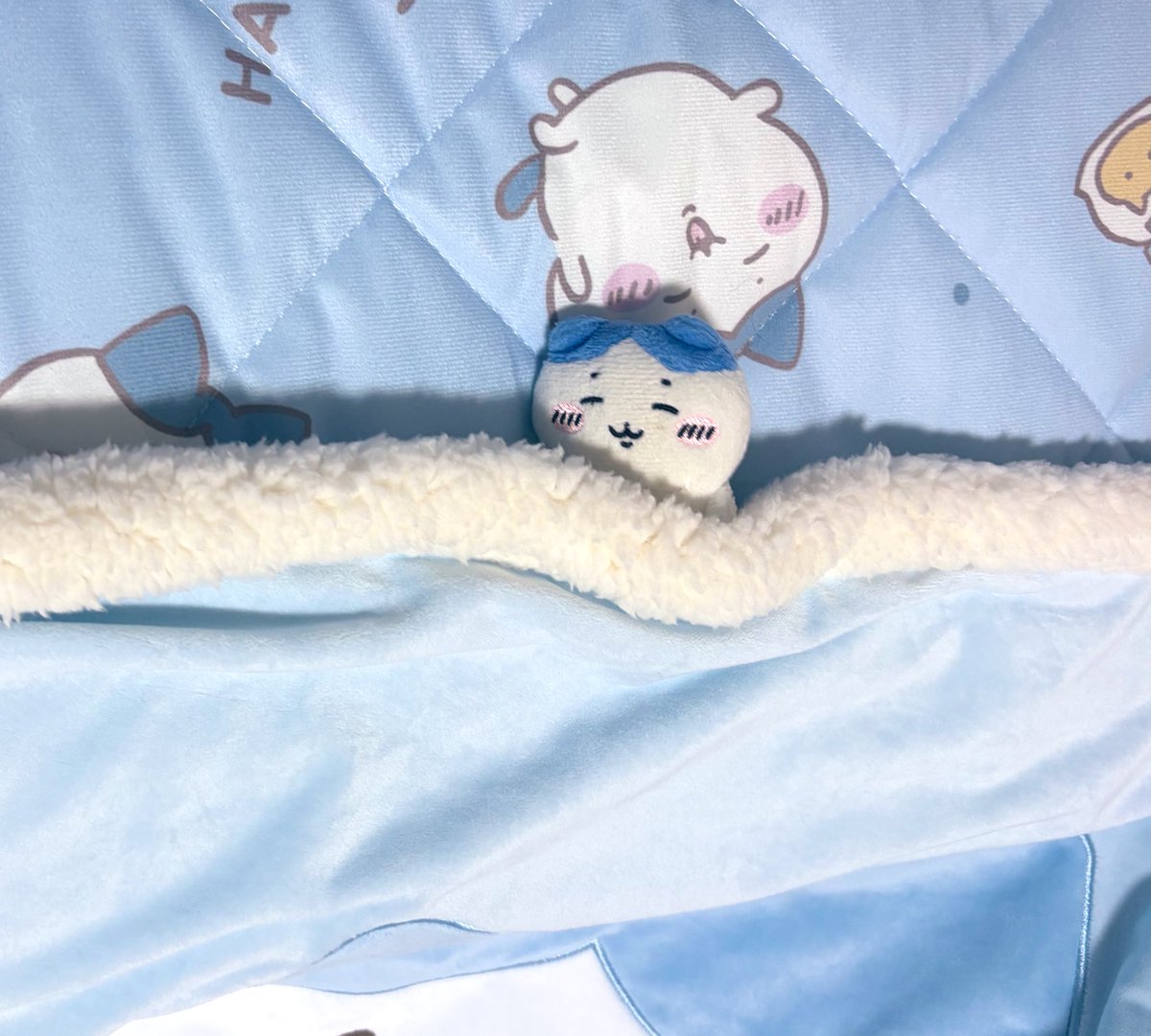 ハチワレページ GS20R-100_wht_111_1022_ck-2025