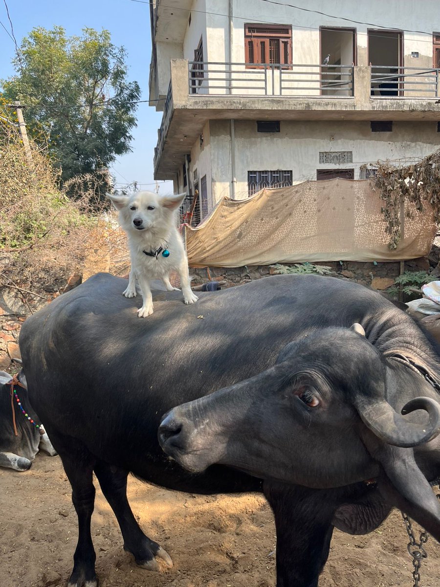 vannumeena0's tweet image. दोस्ती में भेदभाव नहीं होता!

क्या आपको X  के माध्यम से कोई नया दोस्त मिला है??