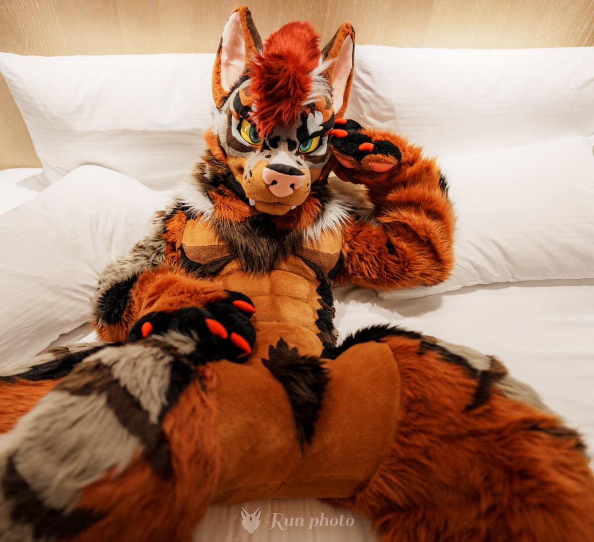 るん (Run)→JMoF (@run_charizard) / Posts / X