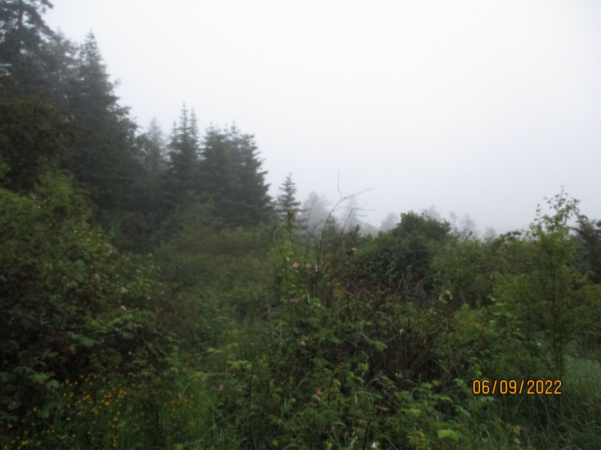 routinecolours's tweet image. 