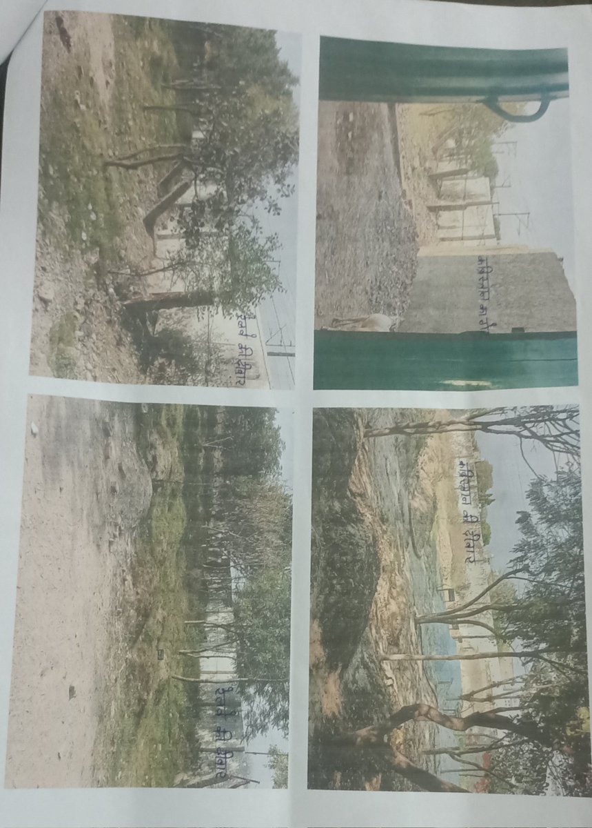 Sahenudden tweet media