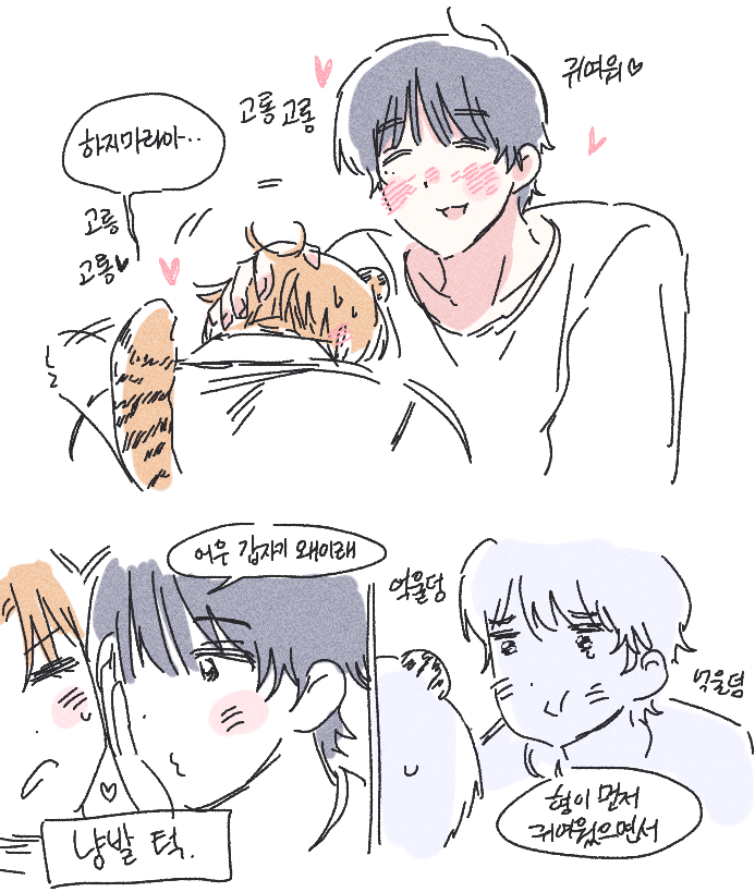 wherejjjjj's tweet photo. 망고님이랑 얘기하다나온 호랑이쯍 몽윦 .. 🐯🐶 https://t.co/VoDT0krfYh