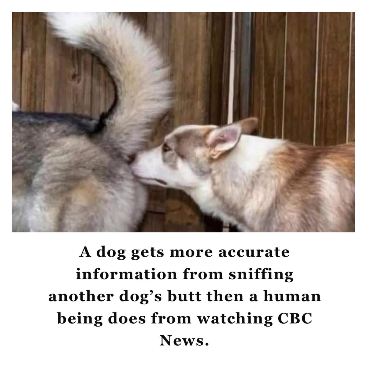 Christy4Change's tweet image. Fact #4783267