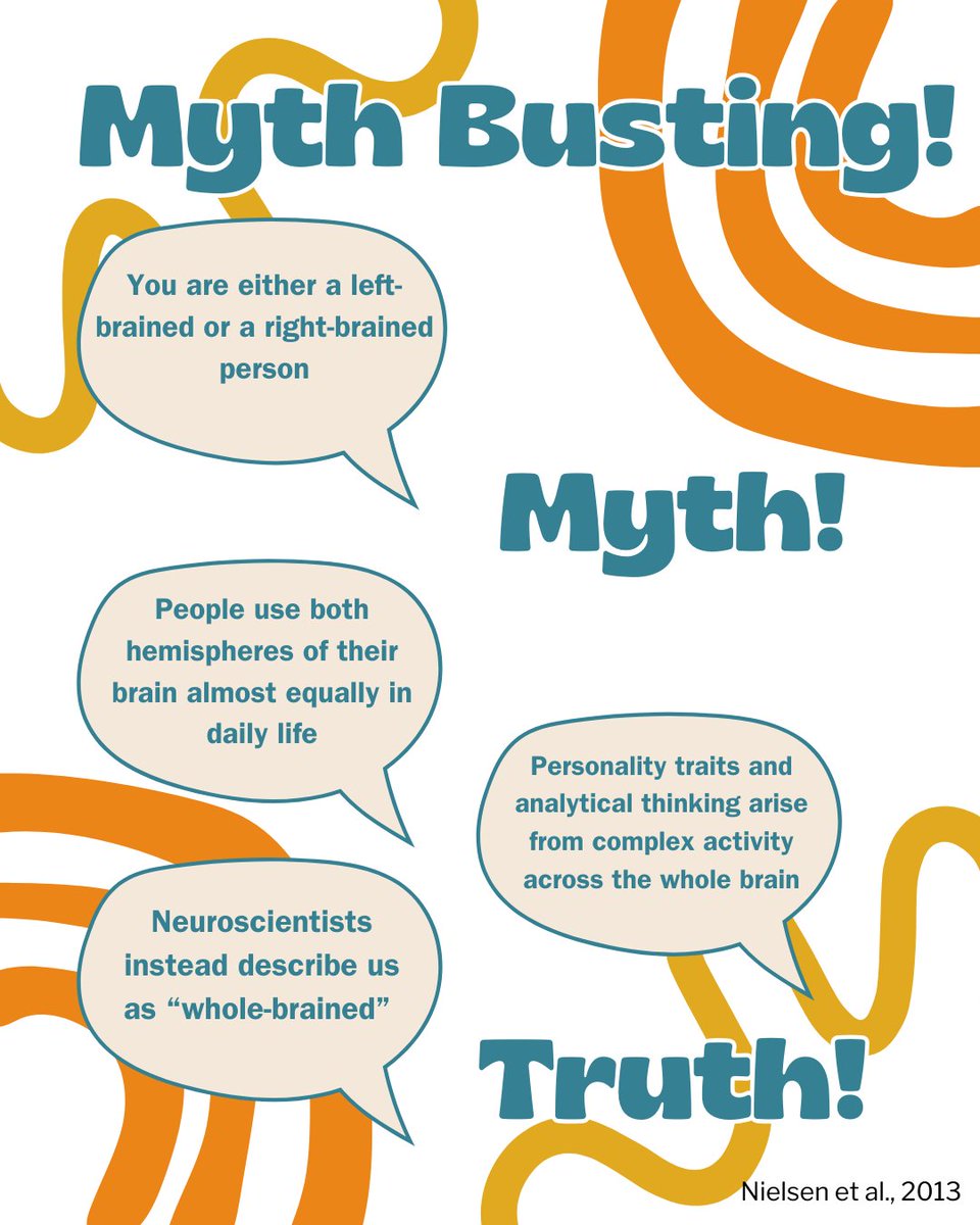 You might’ve heard that people are either left-brained, making them logical, or right-brained, making them creative…but this is not the case! 🧠

We are all constantly using both sides of our brain!

Did you believe this myth? 🔍