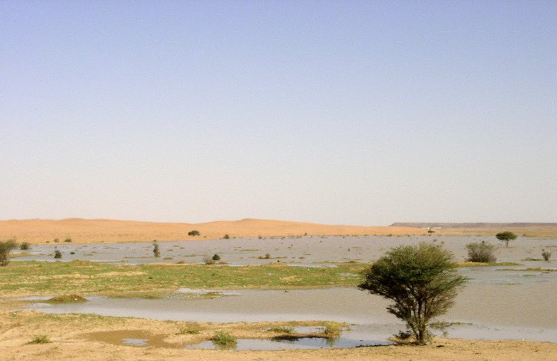 وادي الكُلاب من أشهر الأودية في عالية نجد وعند هذا الوادي انتصر #بني_تميم نصراً ساحقاً على التحالف اليماني وقتلوا رئيسه عبد يغوث بن وقاص ويُعد هذا اليوم أكبر أيام العرب قبل الإسلام . 

وقد كان النبي صلى الله عليه وسلم وقتها بمكة لم يهاجر بعد .