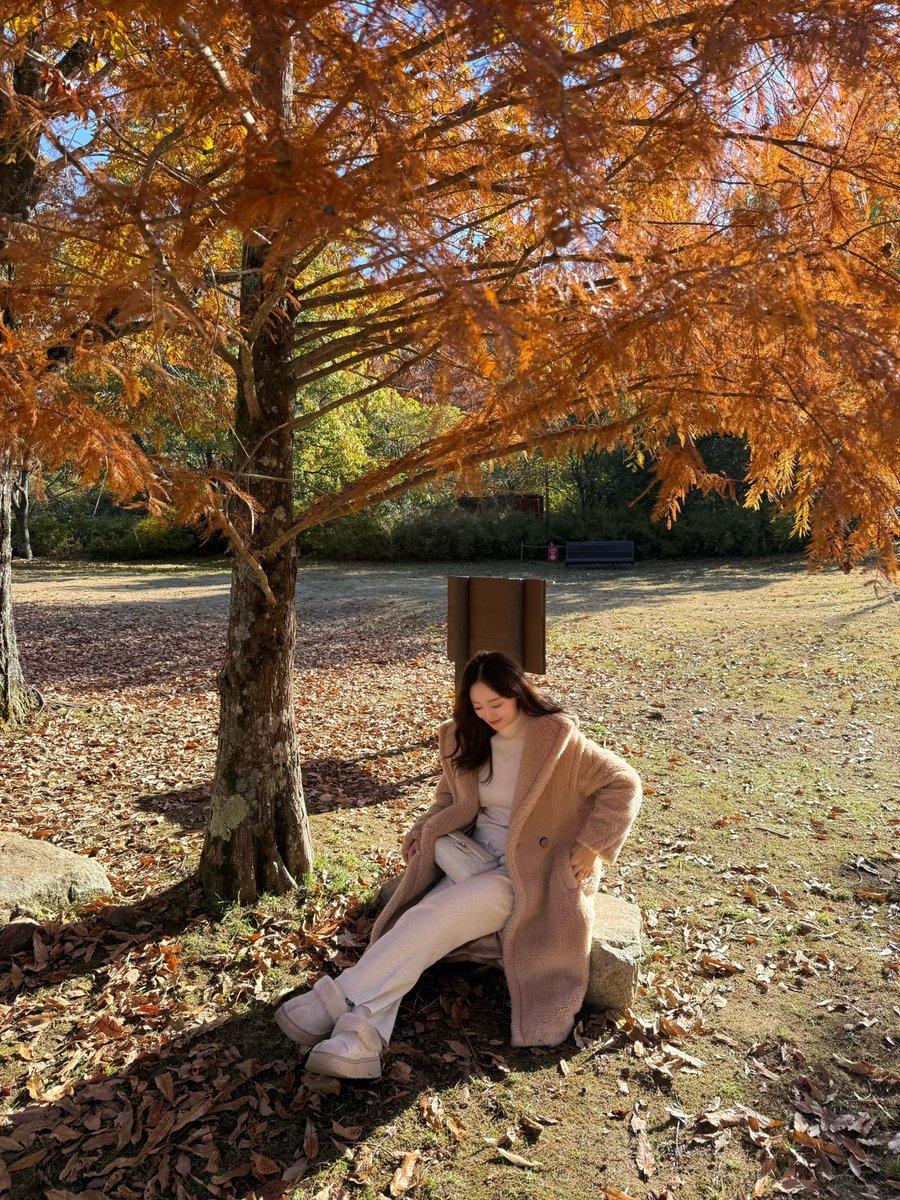 YyyKachi's tweet photo. 今年も紅葉見に行けた🍁🍂 https://t.co/NYLa4h7NYD