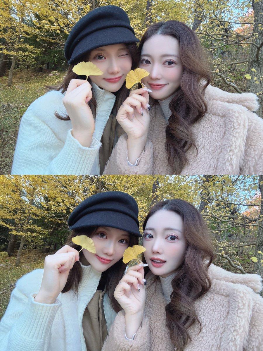 YyyKachi's tweet photo. 今年も紅葉見に行けた🍁🍂 https://t.co/NYLa4h7NYD