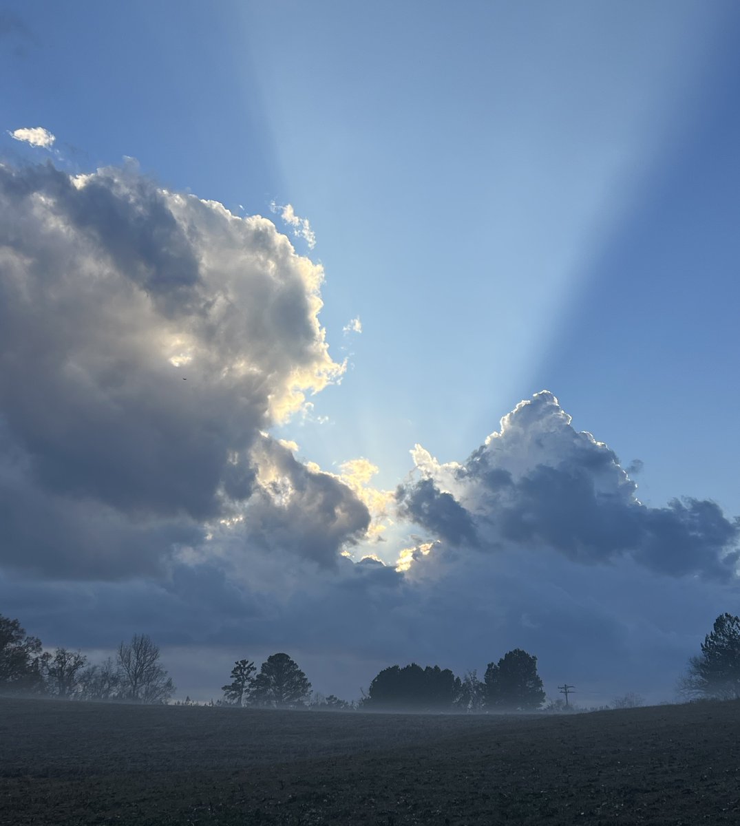 sleuthin's tweet image. Gm, friends! ☕️

A calm morning. Clear mind. Do the work.