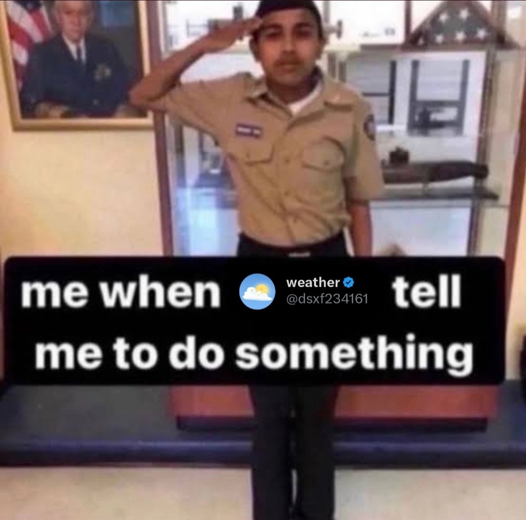 FlamingBeanie's tweet image. 