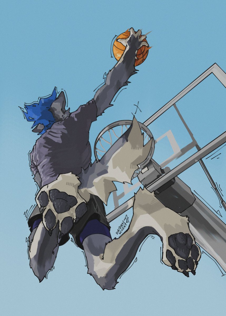 JCanis77's tweet image. dunk