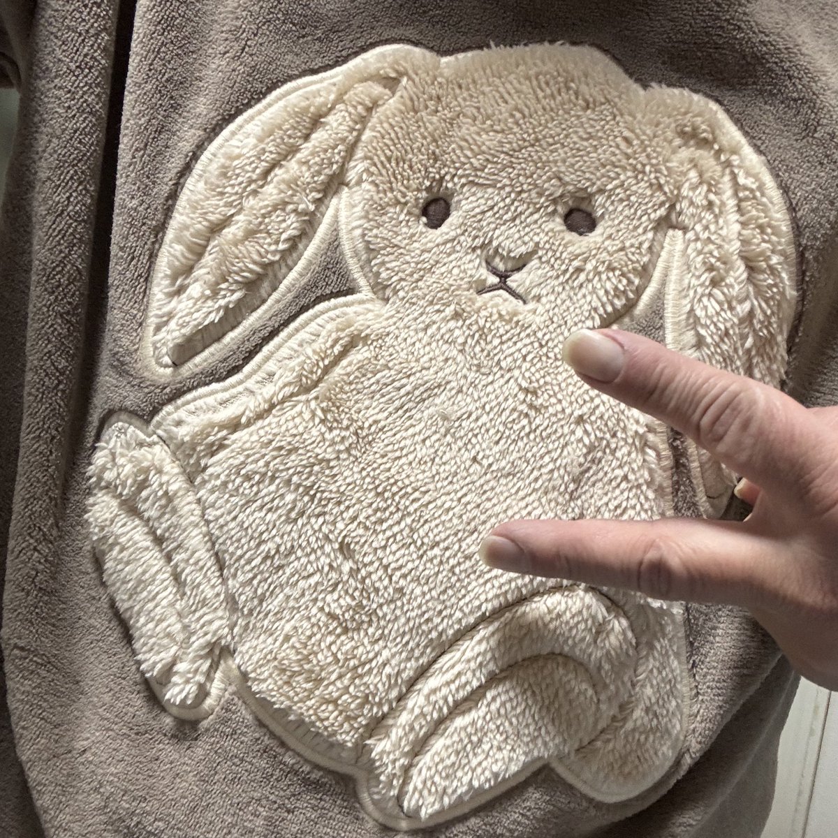 ぶえもんちゃん (a.k.a いでさん) (@buemon228) / Posts / X