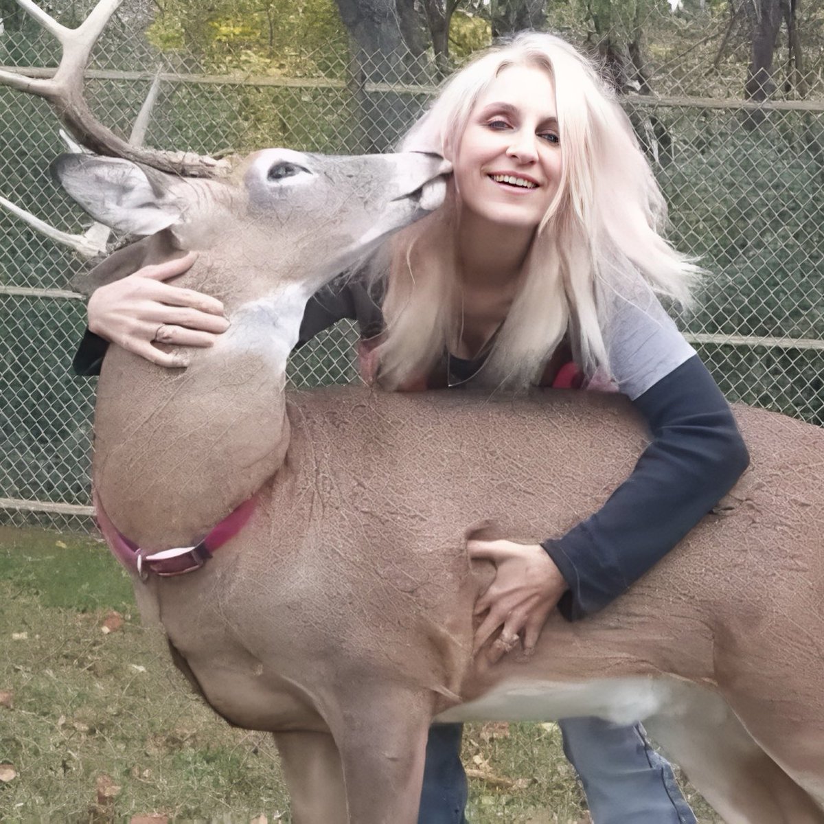 SİYAH SANCAK tweet media