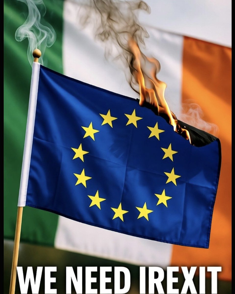 Patrice Johnson 🇮🇪 tweet media