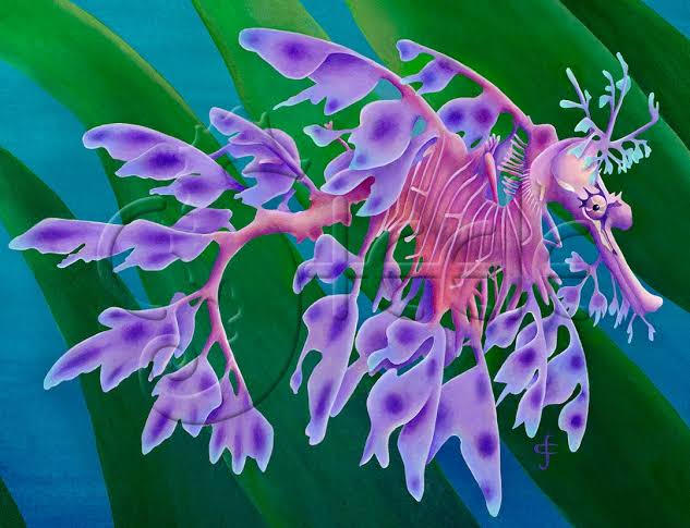 HiddenPowerPod's tweet image. Did you know Mega Dragalge is based on a Leafy seadragon?