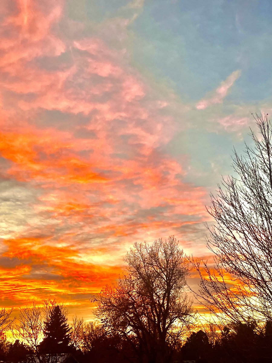 Have a tremendous Monday!🦋🤗🌸🌸🎶🙏🍅❤️