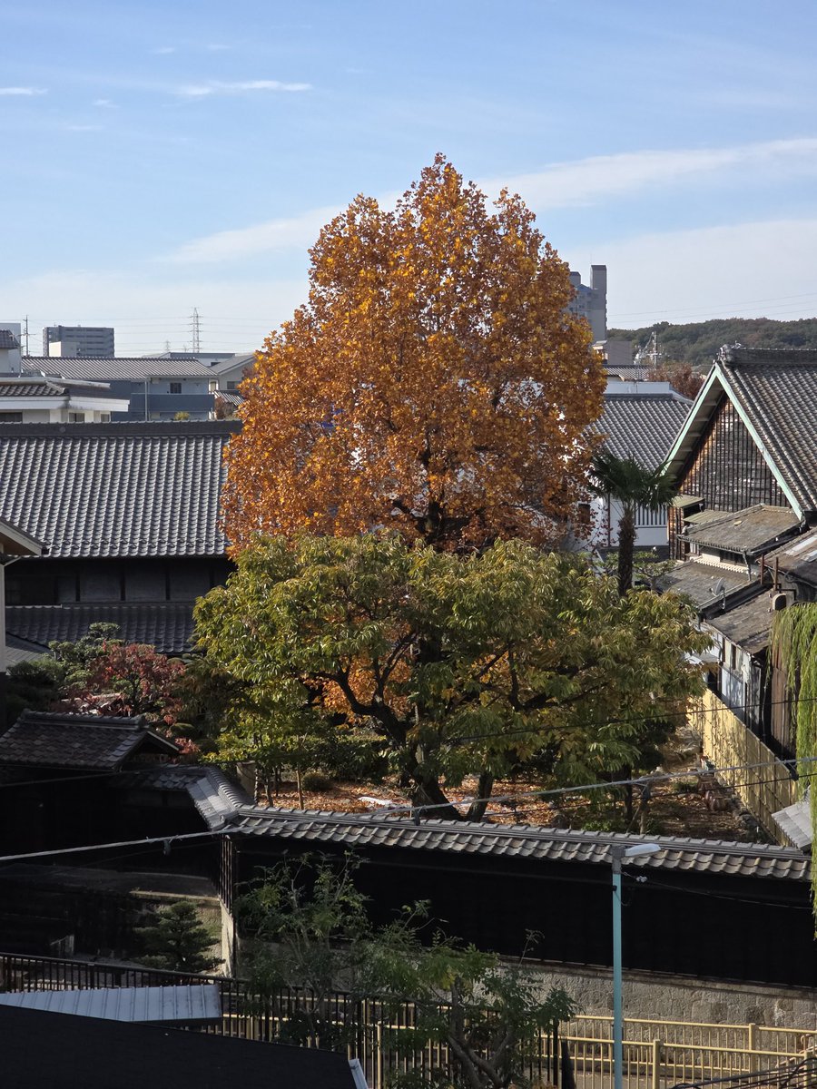 HolyShiru's tweet image. Kinda displays how we are still inbetween