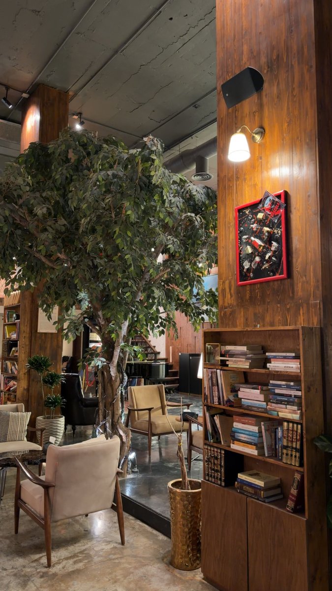 Hamvdv's tweet image. 