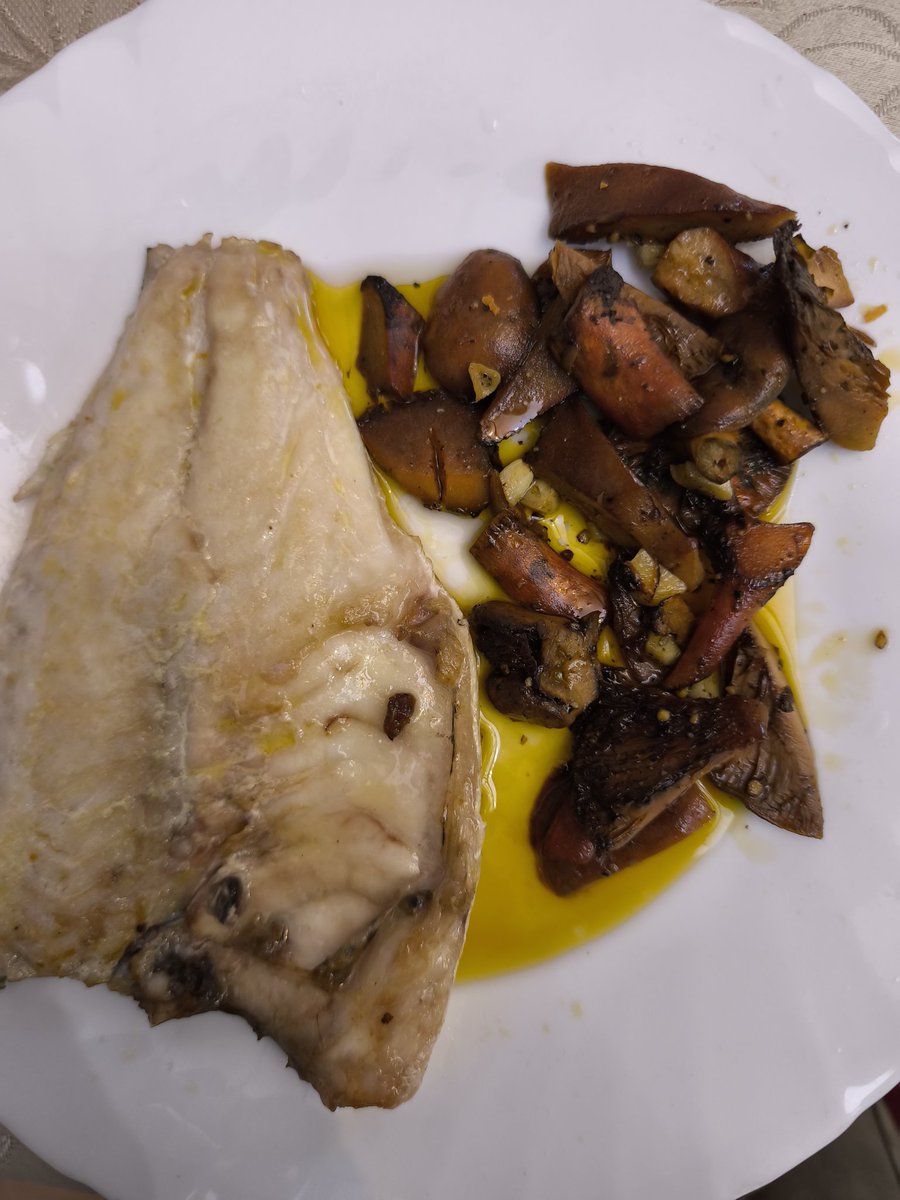 Ahora vuelvo...🫒🌳🌲 tweet media