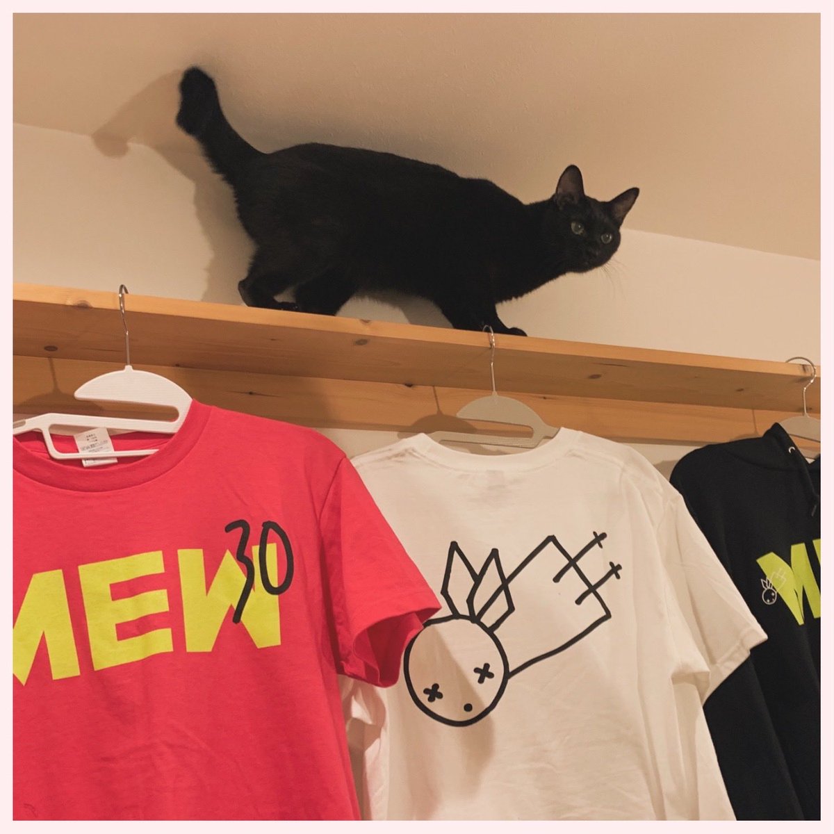 rainbowandesine's tweet photo. Mew 
The Farewell Shows
2025.11.24.

Zookeeper's Boyが聴けて嬉しい。 https://t.co/I3qaDprdiT
