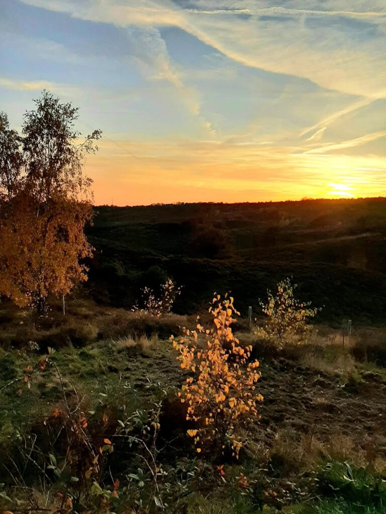 palblog's tweet photo. Nederland: Zonsondergang op de Posbank, Gelderland https://t.co/Jr00616irT #avondfotografie #avondkleuren #dutchlandscape #eveningsky #gelderland #gelderlandinbeeld https://t.co/uWhRyhshlX