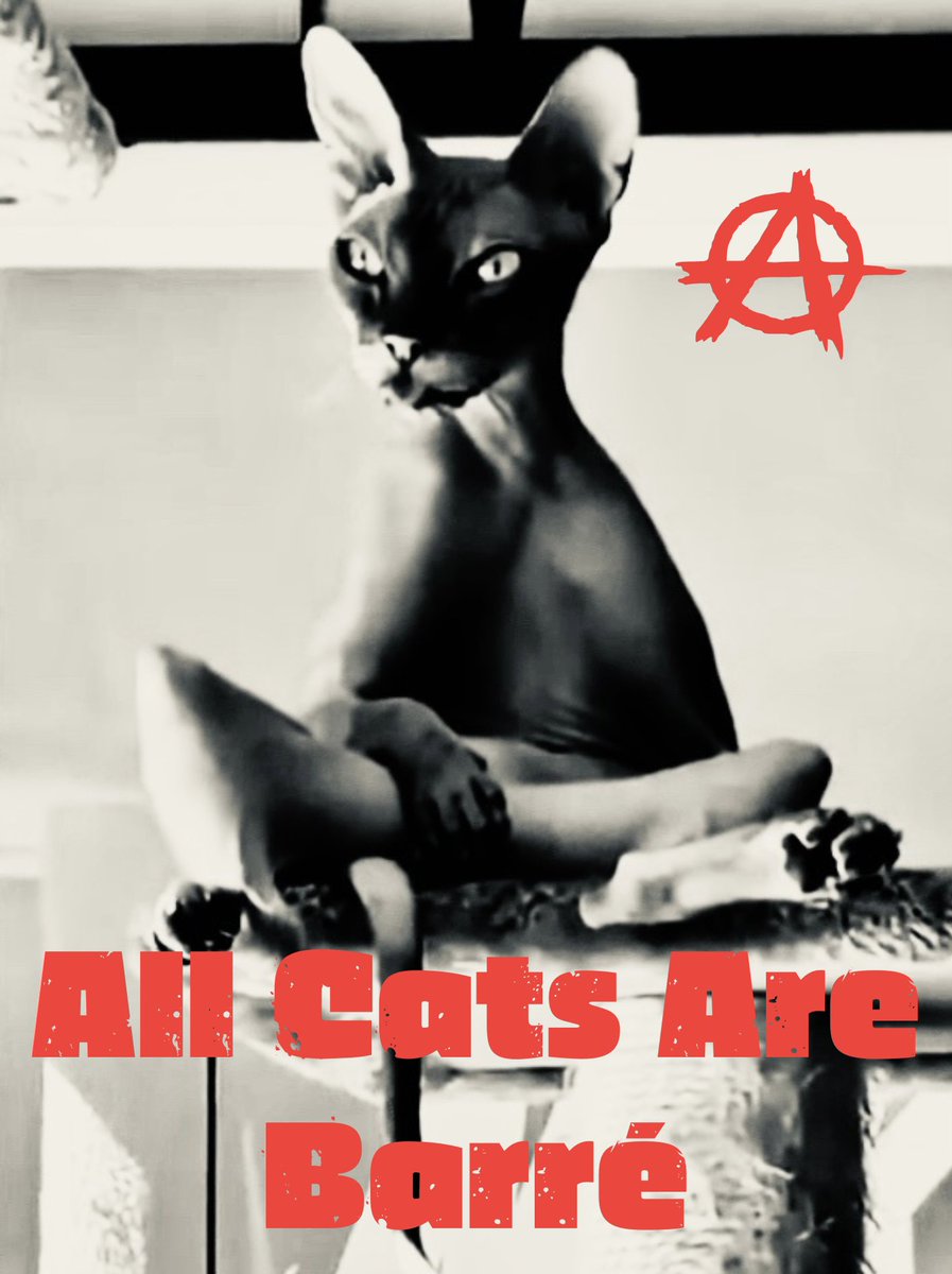 Spider_Jerus@lem Ⓐ ⏚ 🏴🇵🇸 🇳🇨 🐈‍⬛🔻✊ 🕷🕸🏴‍☠️ tweet media