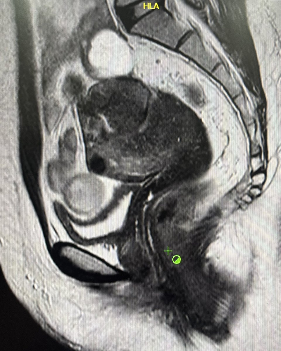 Dr.Yevvari Sameera tweet media